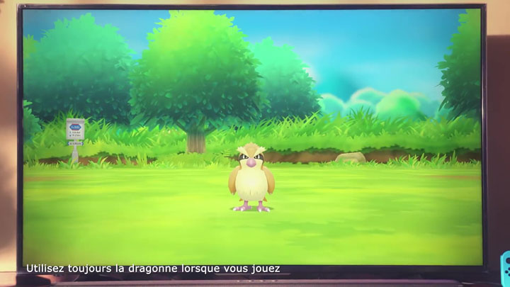 Screenshots Pokémon Let's Go Pikachu et Pokémon Let's Go Évoli