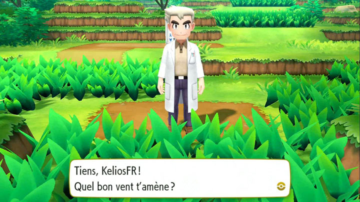 Partie 1 : début de l'aventure jusqu'à Argenta - Solution de Pokémon Let's Go Pikachu et Let's Go Évoli