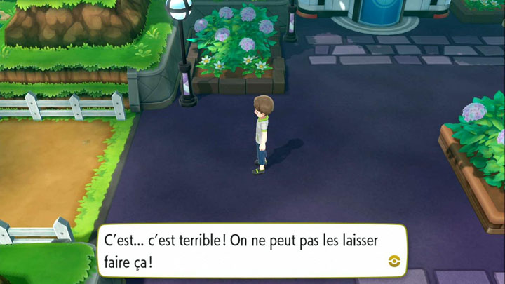 Partie 4 : Grotte Sombre et Lavanville - Solution Pokémon Let's Go Pikachu et Let's Go Évoli