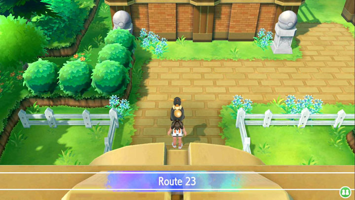 Partie 9 : Jadielle et Route Victoire - Solution de Pokémon Let's Go Pikachu et Let's Go Évoli