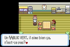 Juge Pokéblocs Emeraude