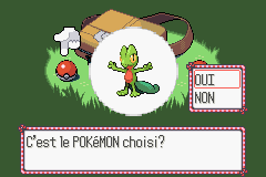 Starters Pokémon Route 101