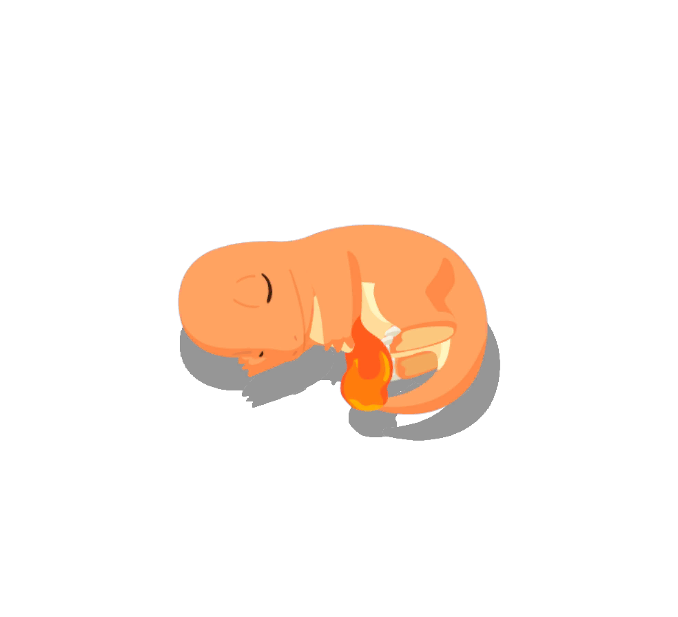Pokémon Sleep - Dodo Crépitant