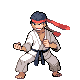 Dresseur dp/karateka