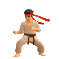 Dresseur dp2/karateka