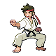 Dresseur nb/karateka