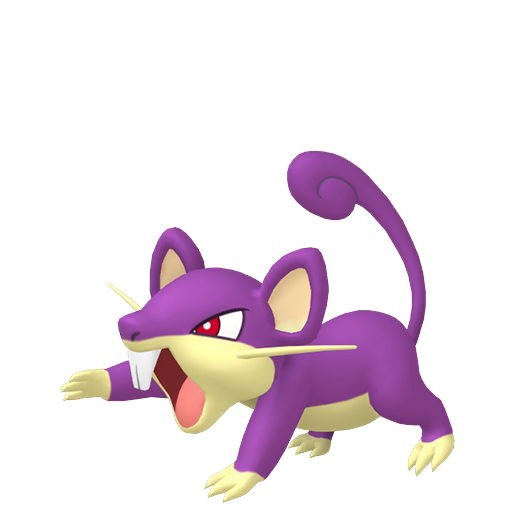 Artwork de Rattata