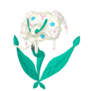 Florges (Fleur Blanche)