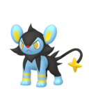 Luxio (Femelle)