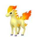 Fiche Pokédex de Ponyta