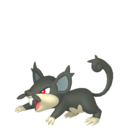 Rattata (Forme d'Alola)