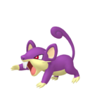 Rattata (Femelle)