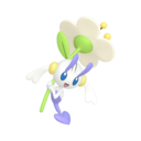 Floette (Fleur Blanche)