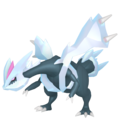 Kyurem (Forme de Kyurem)