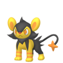 Luxio (Femelle)