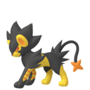 Luxray (Femelle)