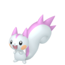 Pachirisu