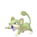 Rattata (Femelle)