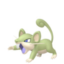 Rattata