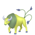 Tauros