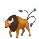 Fiche Pokédex de Tauros