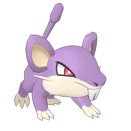 Duo Joueur et Rattata sur Pokémon Masters