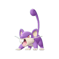 Modèle de Rattata - Pokémon GO