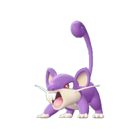 Fiche Pokédex de Rattata Pokémon Let's Go Pikachu et Évoli