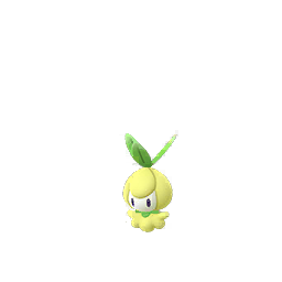 Imagerie de Chlorobule - Pokédex Pokémon GO