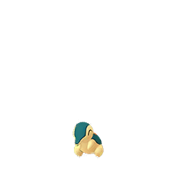 Pokémon hericendre
