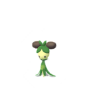 Imagerie de Olivado - Pokédex Pokémon GO