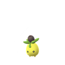 Imagerie de Olivini - Pokédex Pokémon GO