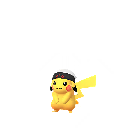 Pokémon pikachu-brice