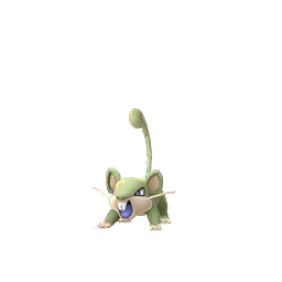 Pokémon rattata-s