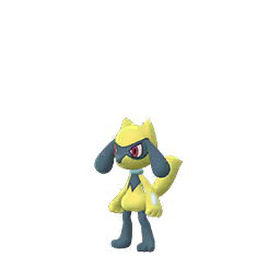 Pokémon riolu-s