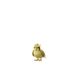 Imagerie de Roucool - Pokédex Pokémon GO