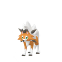 Fiche Pokédex de Lougaroc(Forme Crépusculaire) - Pokédex Pokémon GO Fiche Pokédex de Lougaroc(Forme Crépusculaire) - Pokédex Pokémon GO