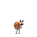 Fiche Pokédex de Passerouge - Pokédex Pokémon GO
