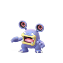 Fiche Pokédex de Ramboum - Pokédex Pokémon GO Fiche Pokédex de Ramboum - Pokédex Pokémon GO
