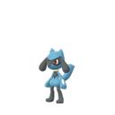 Fiche Pokédex de Riolu - Pokédex Pokémon GO