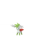 Fiche de Carapuce / Squirtle - Pokédex Pokémon GO 