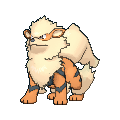 Pokémon arcanin