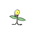 Pokémon chetiflor