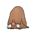 Pokémon cochignon