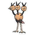 Pokémon dodrio