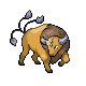 Pokémon Diamant et Perle - Tauros