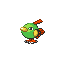 Pokémon Émeraude - Natu