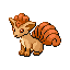 Pokémon Émeraude - Goupix
