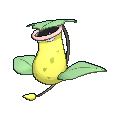 Pokémon empiflor