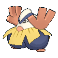 Pokémon hariyama